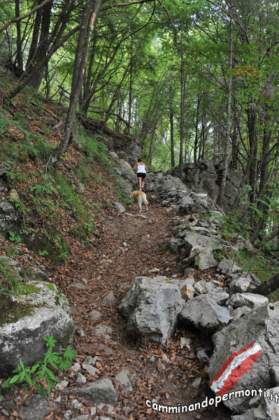 029 Periplo e vetta Monte Alben la Croce.JPG